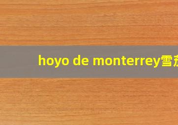 hoyo de monterrey雪茄